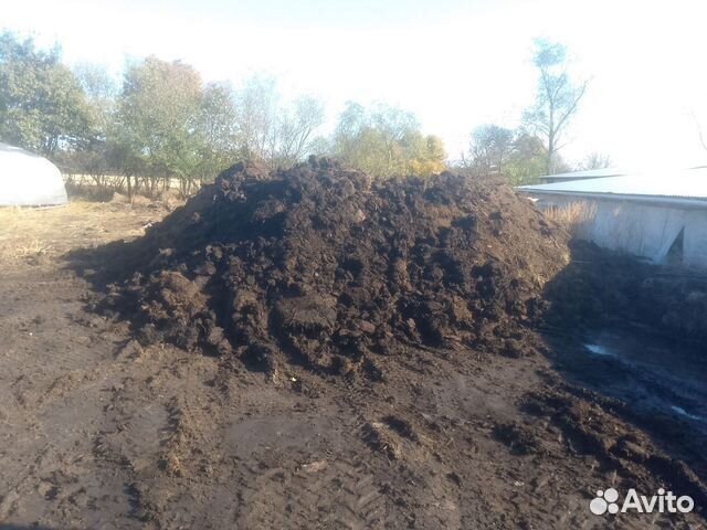 Перегной(навоз