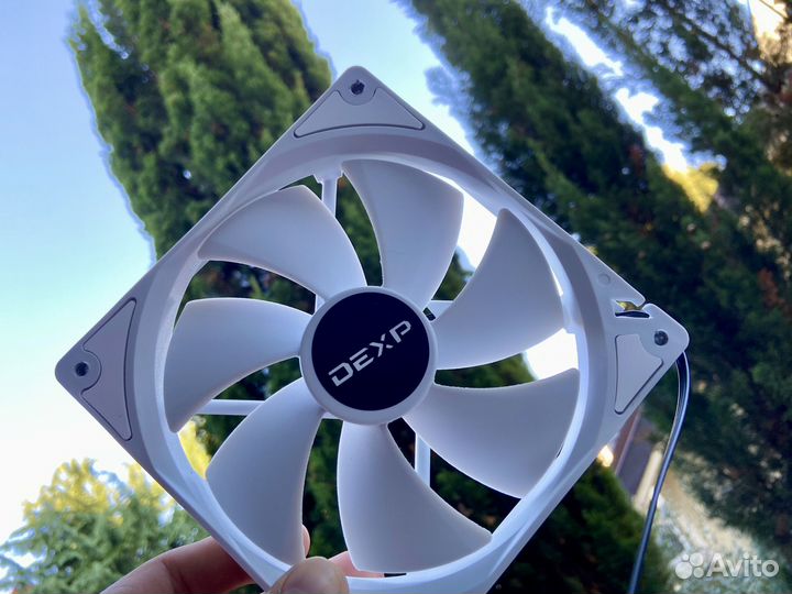 6 красавцев