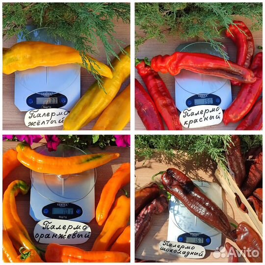 Семена крупноплодных перцев