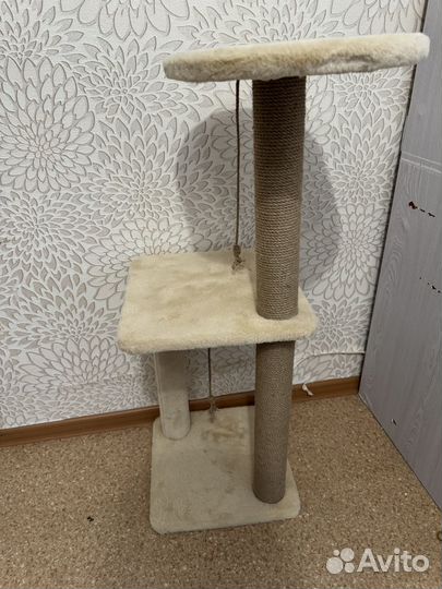 Когтеточка для кошек