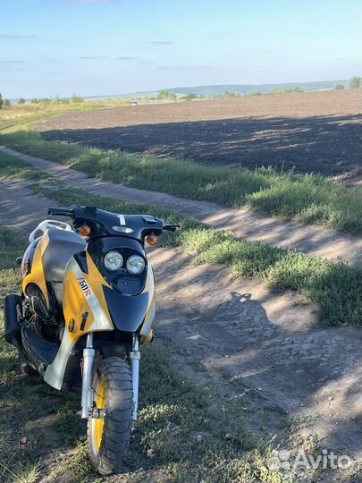 Irbis z50r