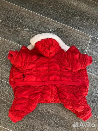 Вещи для собаки девочки