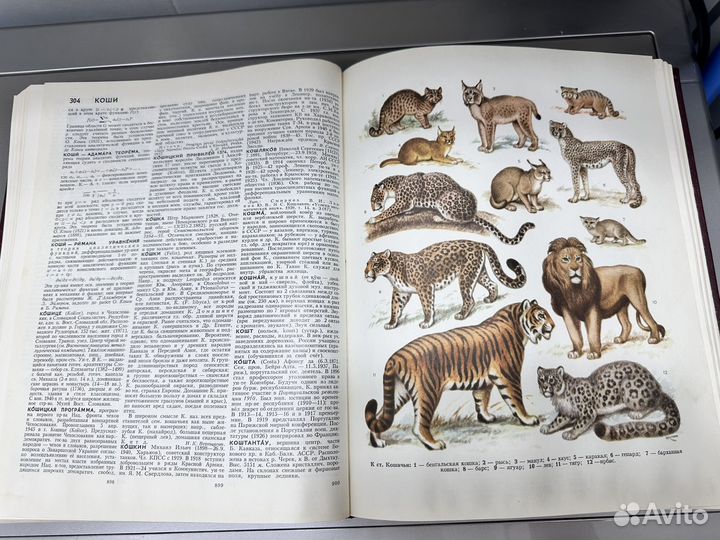 Книги Большая Советская Энциклопедия. Том 13