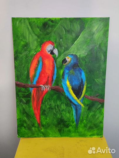 Картина попугаи