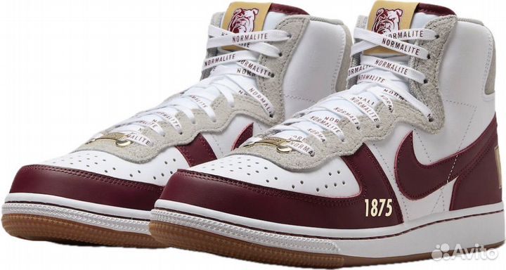 Nike terminator high 