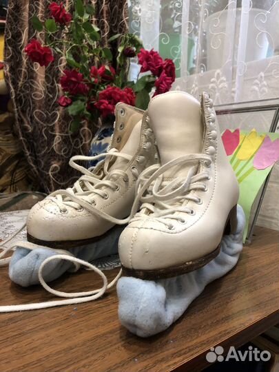 Фигурные коньки wifa prima-set Mark IV (31 размер)