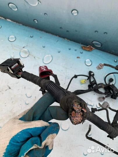 Жгут проводов