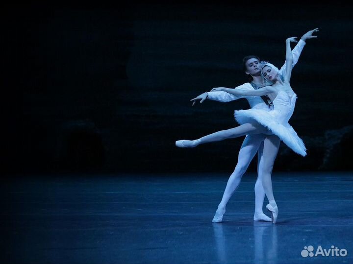 Билеты на Лебединое озеро. Большой театр