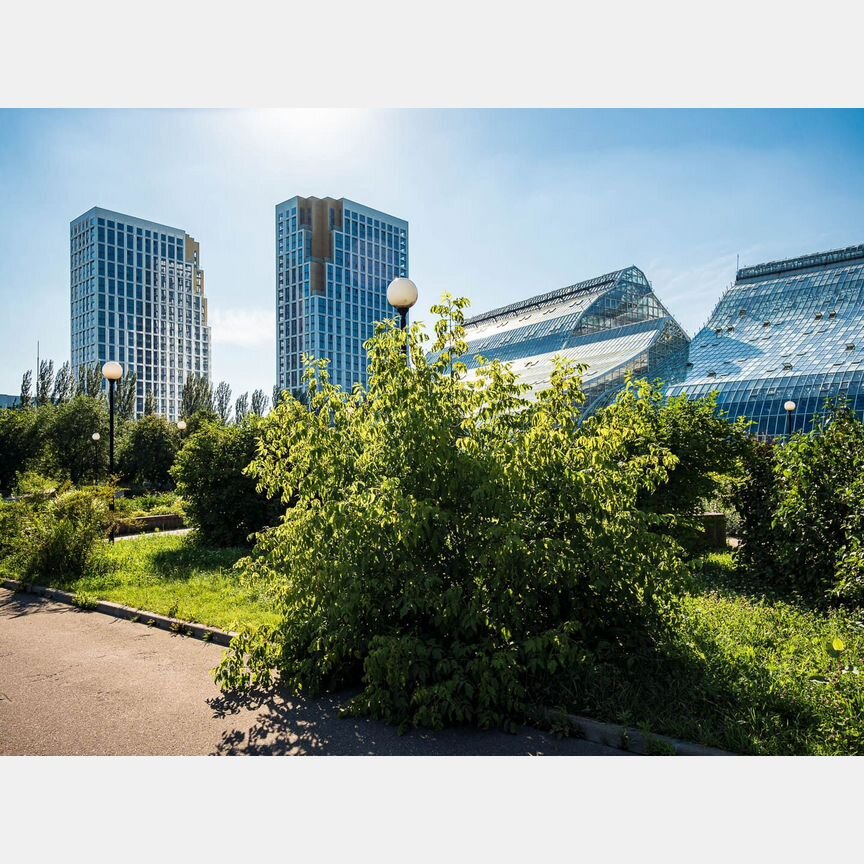 2-к. квартира, 50,4 м², 6/29 эт.