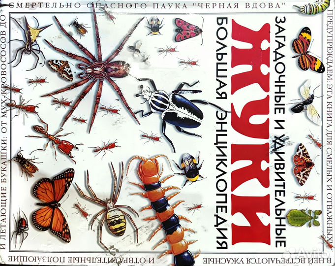 Загадочные и удивительные пауки. Энциклопедия