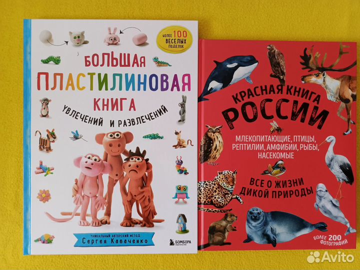 Детские книги новые