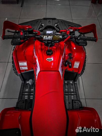 Квадроцикл Motoland shark ATV 125