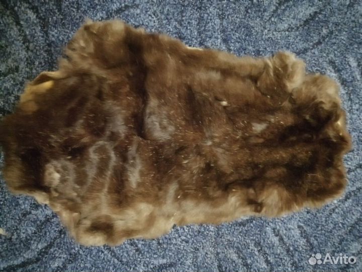 Шкурки кролика - зайца) овцы и. неизвестный зверь)