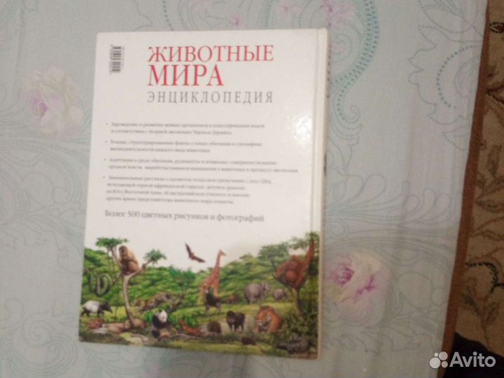 Энциклопедия 