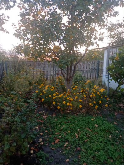 Участок 6 сот. (СНТ, ДНП)