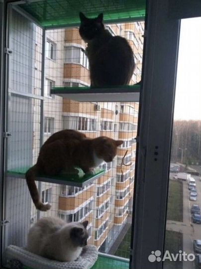 Оконный вольер для ваших кошек