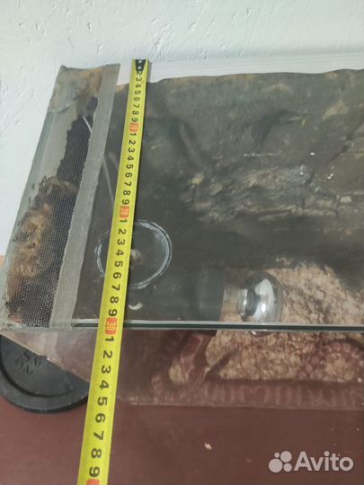 Террариум для рептилий