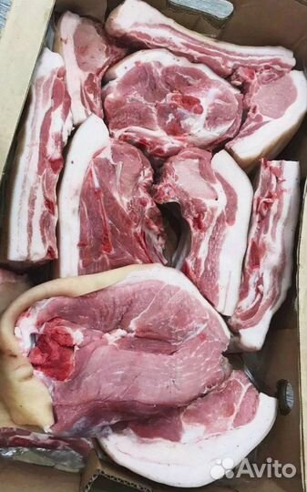 Мясо домашнее Свинина