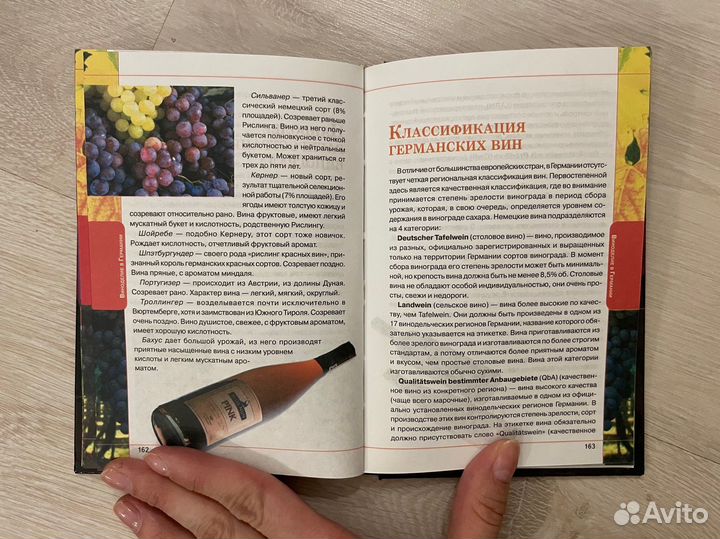 Вино. Страны и регионы производства. Книга