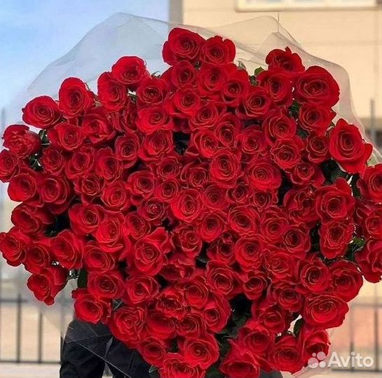 Розы Эквадор Метровые 100 см доставка Москва