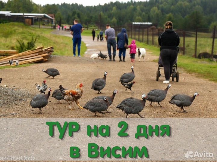 Висим+Оленья ферма+гора Белая 2 дня / 1 ночь