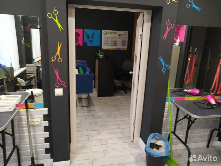 Салон по стрижки собак и кошек groom