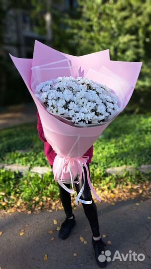 Букет гигант из ромашек (хризантемы)