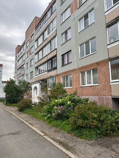 2-к. квартира, 50,5 м², 1/5 эт.