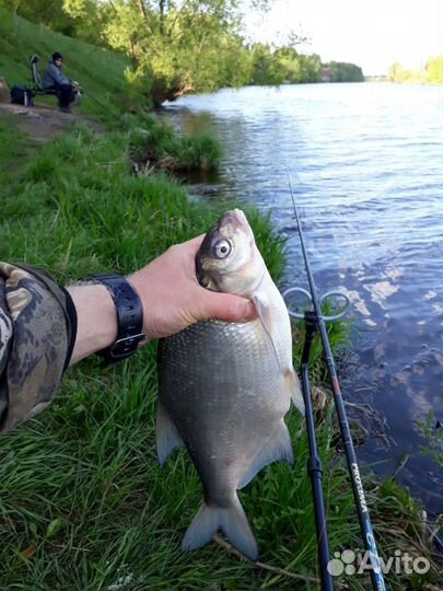 Обучение рыбалке (рыбной ловле)