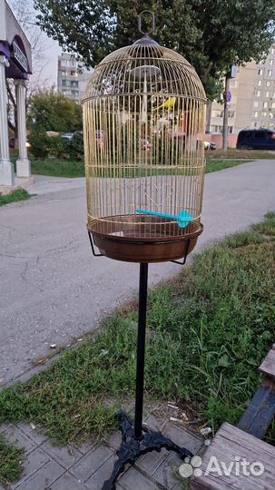 Клетка для попугая