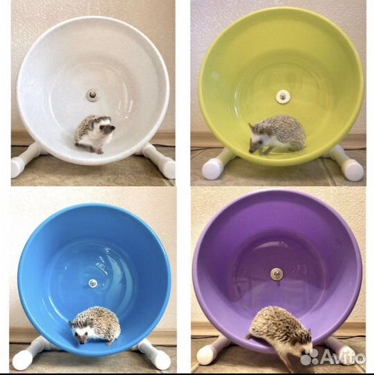 Лучшее беговое колесо для ежа