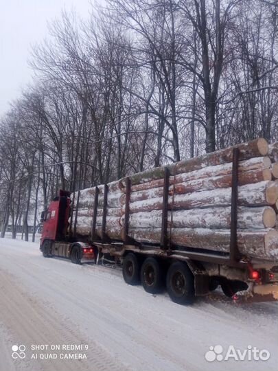 Круглый лес