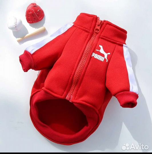 Толстовка для собак