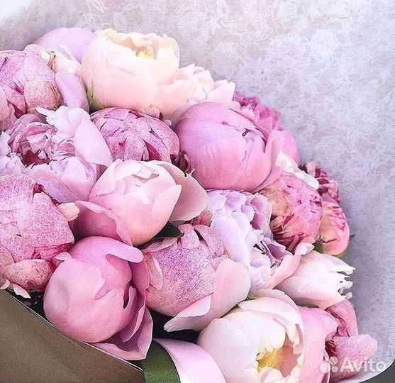 Пионы Цветы Доставка