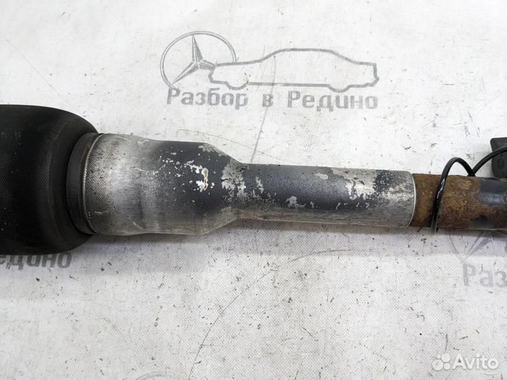 Пневмостойка задняя w220 S-class 113.966 19.05