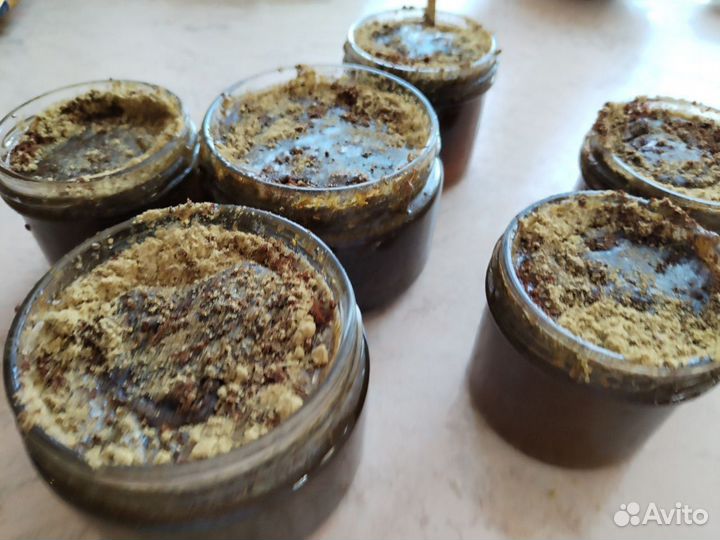 Мёд от глистов