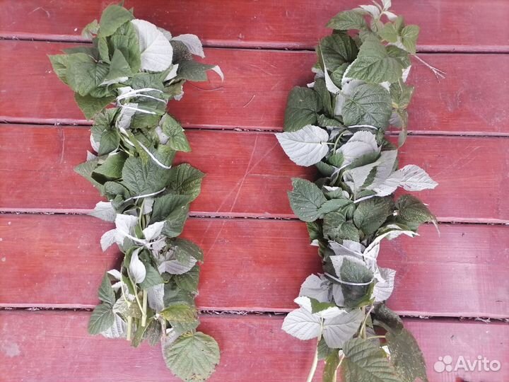 Букет для чая из лекарственных трав,Пучки трав