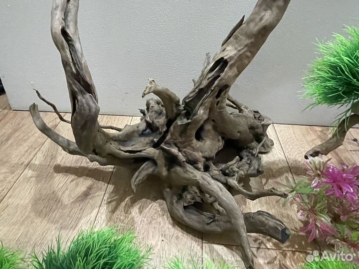 Коряги и декор