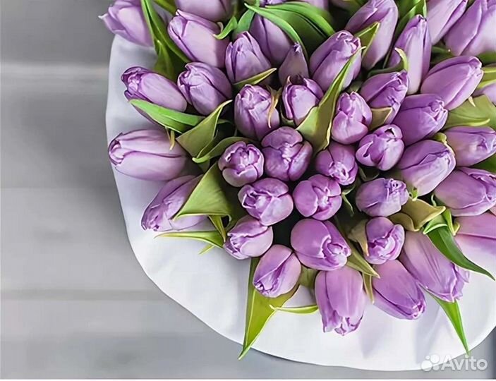 Тюльпаны к 8 марта