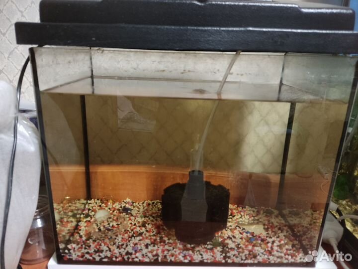 Аквариум