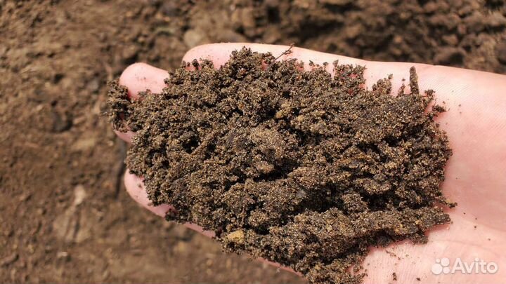 Торфогрунт