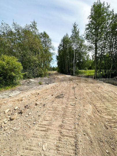 Участок 10 сот. (СНТ, ДНП)