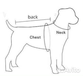 Одежда для средних собак