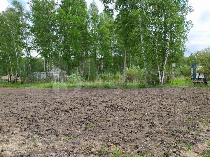 Участок 10 сот. (СНТ, ДНП)