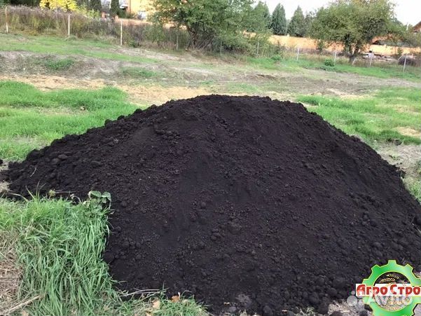 Чернозем
