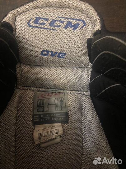 Хоккейные шорты детские Bauer CCM