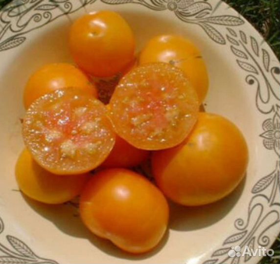 Сортовые семена томата