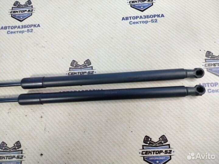 Амортизатор багажника Nissan Qashqai J10