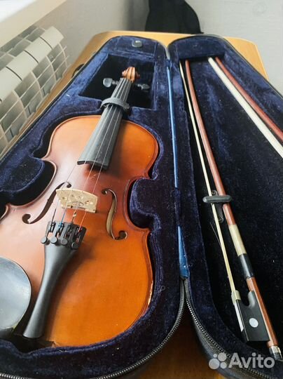 Скрипка 1/2