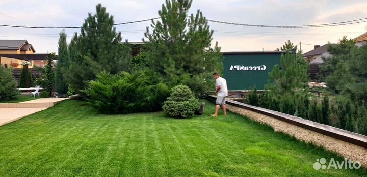 Укладка рулонных газонов под ключ
